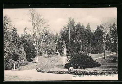AK Auerbach a. d. B., Partie im Fürstenlager