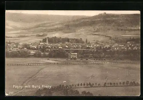 AK Pagny, Burg Preny