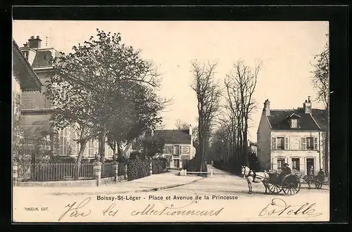 AK Boissy-Saint-Léger, Place et Avenue de la Princesse
