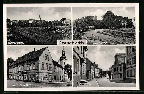 AK Draschwitz, Gesamtansicht, Gasthof z. Hirsch, Elsterpartie, Dorfstrasse