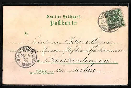 Lithographie Uelzen, Reichspost, Bahnhof, Gudesstrasse, Totalansicht