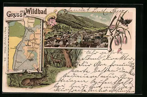 Lithographie Wildbad, Teilansicht, Landkarte mit Darmstadt, Frankfurt und Freiburg, Hirsche im Wald