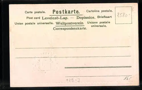 Passepartout-Lithographie Bayreuth, Seminar, Fahne und Wappen