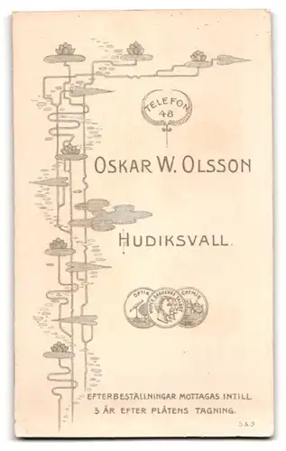 Fotografie Oskar W. Olsson, Hudiksvall, Fräulein in gestreifter Bluse