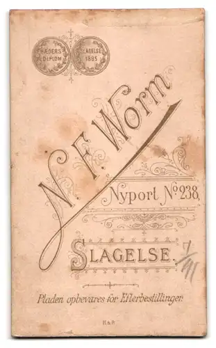 Fotografie N. F. Worm, Slagelse, Nyport No. 238, Hübsches Kleinkind im Kleidchen