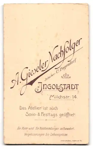 Fotografie A. Gieseler, Ingolstadt, Milchstrasse 14, Gutbürgerliche Dame mit Hochsteckfrisur im eleganten Kleid