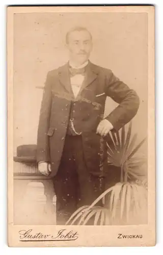 Fotografie Gustav Jobst, Zwickau, Junger Mann im edlen Kostüm neben einer Fächerpalme posierend