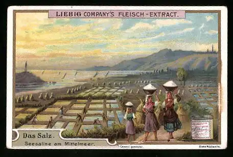 Sammelbild Liebig, Das Salz, Seesaline am Mittelmeer
