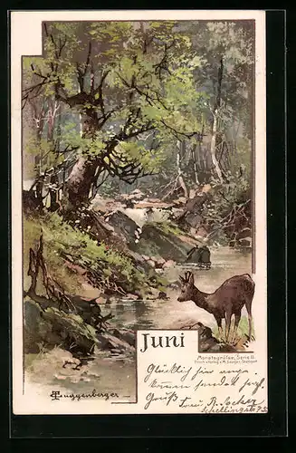 Künstler-AK Theodor Guggenberger: Juni - Reh an einem Bachlauf