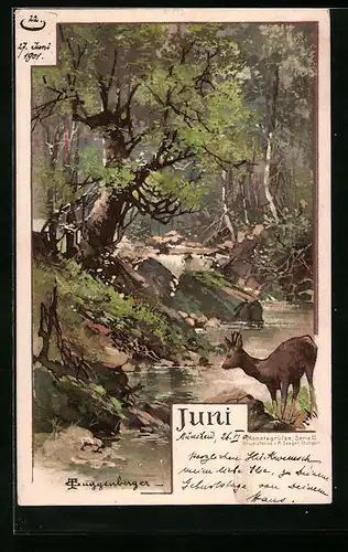 Künstler-AK Theodor Guggenberger: Juni - Reh an Bach im Wald