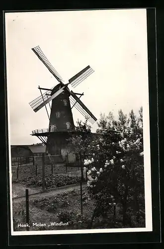 AK Hoek, Molen Windlust, Windmühle