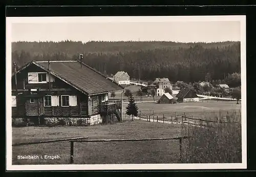 AK Steinbach /Erzgeb., Ortsansicht