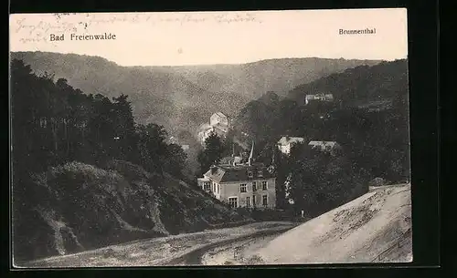 AK Bad Freienwalde, Brunnenthal aus der Vogelschau