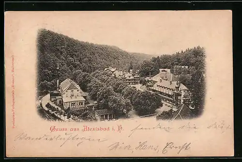 AK Alexisbad i. H., Ortsansicht aus der Vogelschau