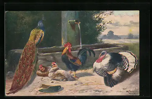 Künstler-AK Alfred Schönian: Ein Pfau, Hühner und Truthahn am Brunnen