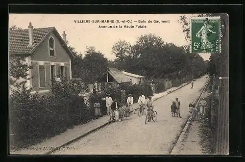 AK Villiers-sur-Marne, Bois de Gaumont Avenue de la Haute Futaie