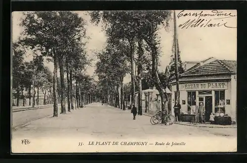 AK Le Plant de Champigny, Route de Joinville