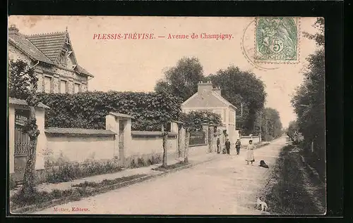 AK Plessis-Trévise, Avenue de Champigny