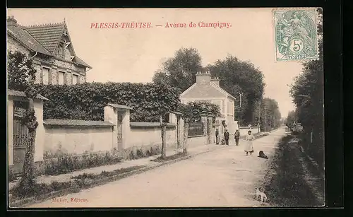 AK Plessis-Trévise, Avenue de Champigny