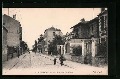 AK Alfortville, La Rue des Camélias