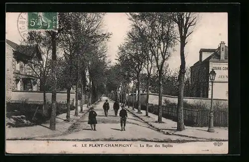 AK Champigny, La Rue des Sapins