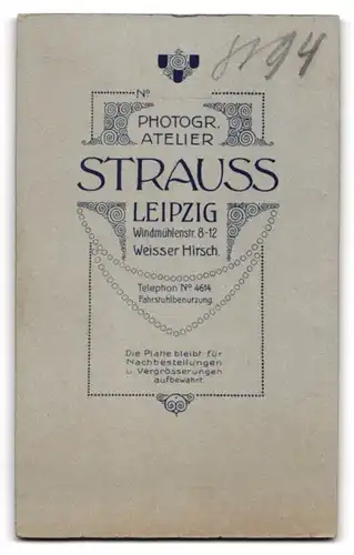 Fotografie Strauss, Leipzig, Windmühlenstrasse 8-12, Jüngling im Anzug mit Einstecktuch