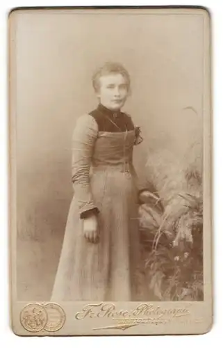 Fotografie Fr. Rose, Wernigerode, Nicolaiplatz 1, Junge Dame im modischen Kleid