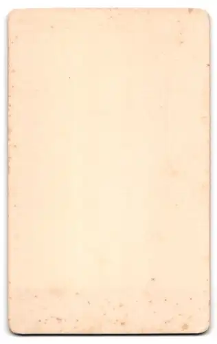 Fotografie H. Neudeck, Soltau, Wilhelmstr., Bürgerliches Paar in hübscher Kleidung
