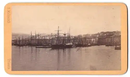 Fotografie G. Malovich, Trieste, Via del Torrente 16, Ansicht Trieste, Blick auf den Hafen mit Segelschiffen