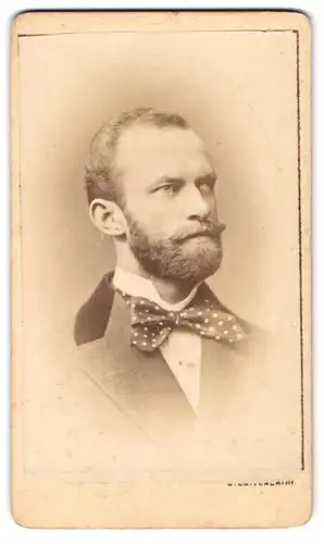 Fotografie J. Lafranchini, Wien, Schottenhof, Portrait junger Mann im Anzug mit gepunkteter Fliege
