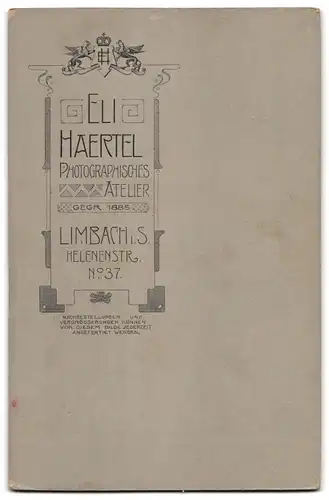 Fotografie Eli Haertel, Limbach i. S., Helenenstr. 37, Portrait Dame im Biedermeierkleid, im Passepartout