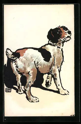 Künstler-AK M. Munk Nr. 243: Drahthaar-Foxterrier
