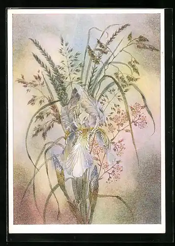 Künstler-AK Sulamith Wülfing: Blühende Schwertlilien