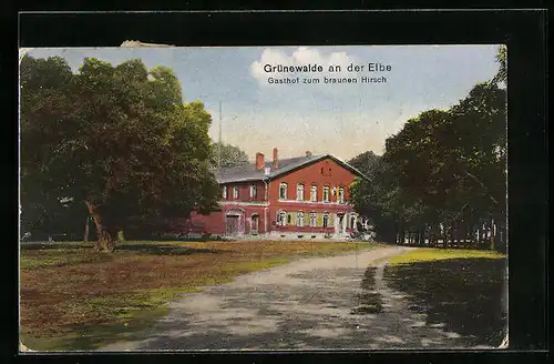AK Grünewalde /Elbe, Gasthof zum braunen Hirsch mit Bäumen
