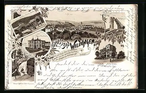 Lithographie Bad Wildungen, Ruine Katzenstein, Neues Kurhaus, Wasserfall bei Odershausen