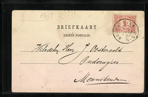 AK Bodegraven, Gezicht op Bodegraven