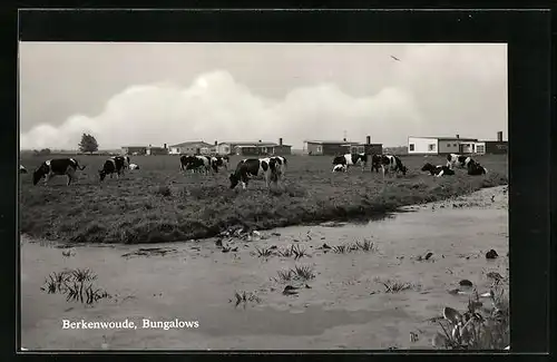 AK Berkenwoude, Bungalows