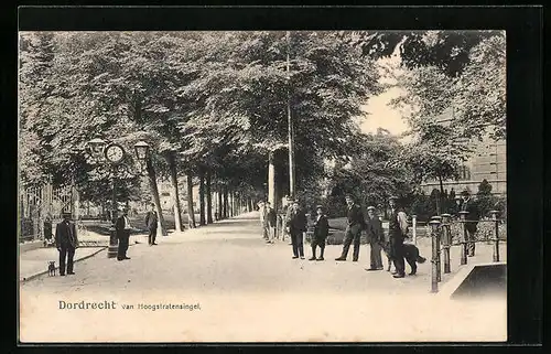 AK Dordrecht, Van Hoogstratensingel