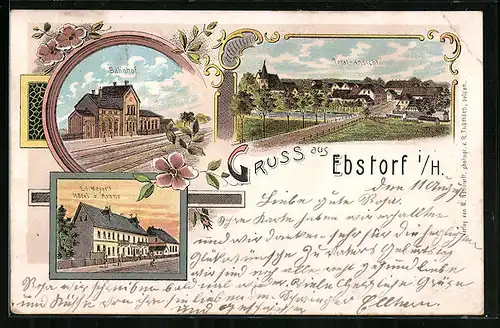 Lithographie Ebstorf i. H., Hotel zur Krone, Bahnhof, Totalansicht