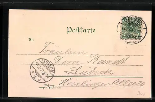 Lithographie Uelzen, Rathaus, Fischermarkt, Bahnhof, Kaiserliches Postamt