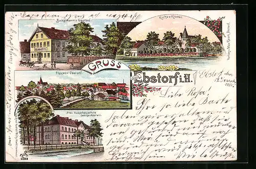 Lithographie Ebstorf i. H., Bockelmann`s Gasthof, Kirche, Kloster, Prov. Ackerbauschule Georgs-Anstalt