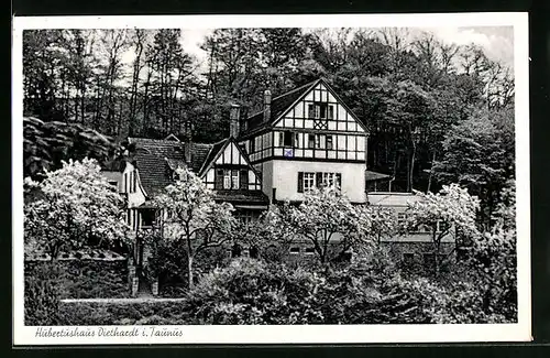 AK Diethardt i. Taunus, Blick zum Hubertushaus