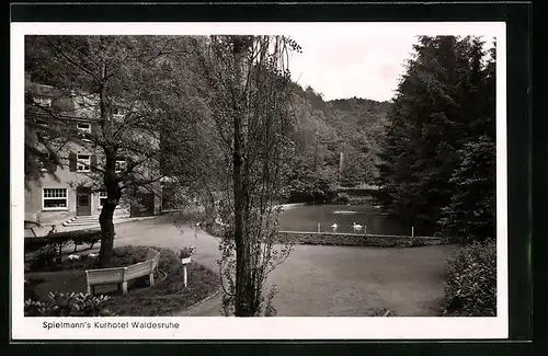 AK Montabaur / Westerwald, Spielmann`s Kurhotel Waldesruhe
