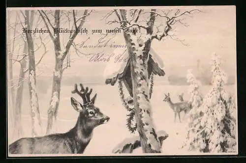 Künstler-AK M. Munk Nr. 595: Rehbock und Rehe vor Vogelhaus in winterlicher Landschaft, Neujahrsgruss