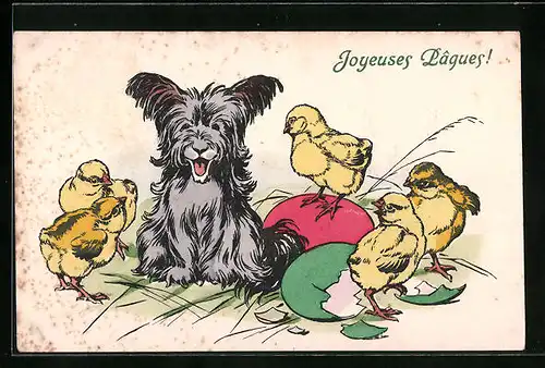 Künstler-AK M. Munk Nr. 574: Terrier mit Osterküken, Ostergruss