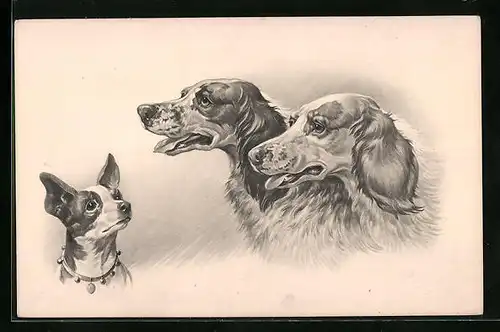 Künstler-AK M. Munk Nr. 625: Chihuahua und zwei Cocker Spaniel