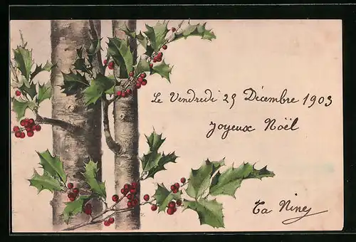 Künstler-AK M. Munk Nr. 163: Zwei Mistelbäume mit Beeren