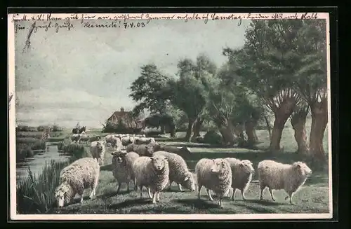Künstler-AK M. Munk Nr. 134: Ortspartie mit Schafherde