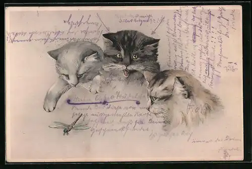 Künstler-AK M. Munk Nr. 132: drei Katzen beobachten eine Libelle