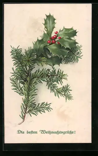 Künstler-AK M. Munk Nr. 740: Weihnachtsgrüsse mit Tannen- und Beerenzweigen